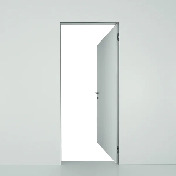 Zestaw Drzwi ukryte + Ościeżnica Sara Color odwrotna przyl