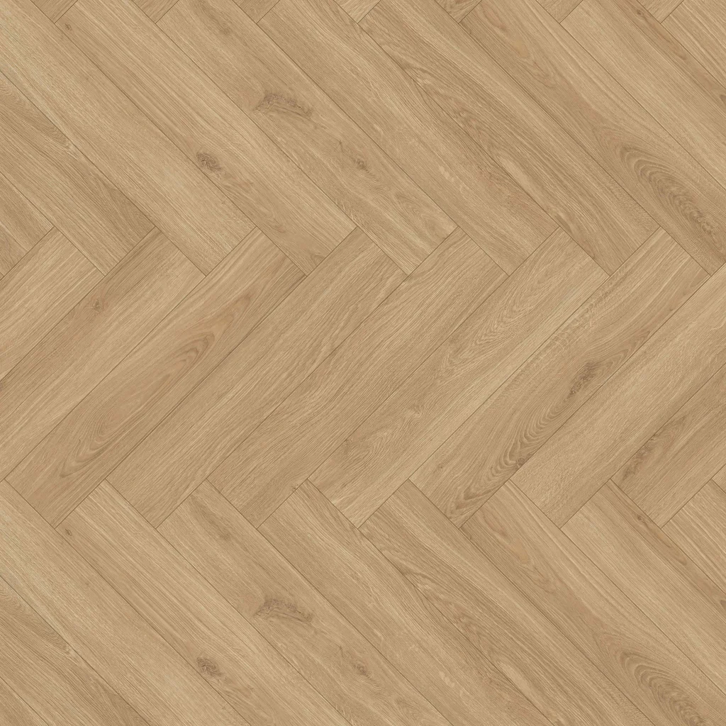 Panele podłogowe Jodełka Dąb Albatros 40334 AC5 8 mm, AUHR40334