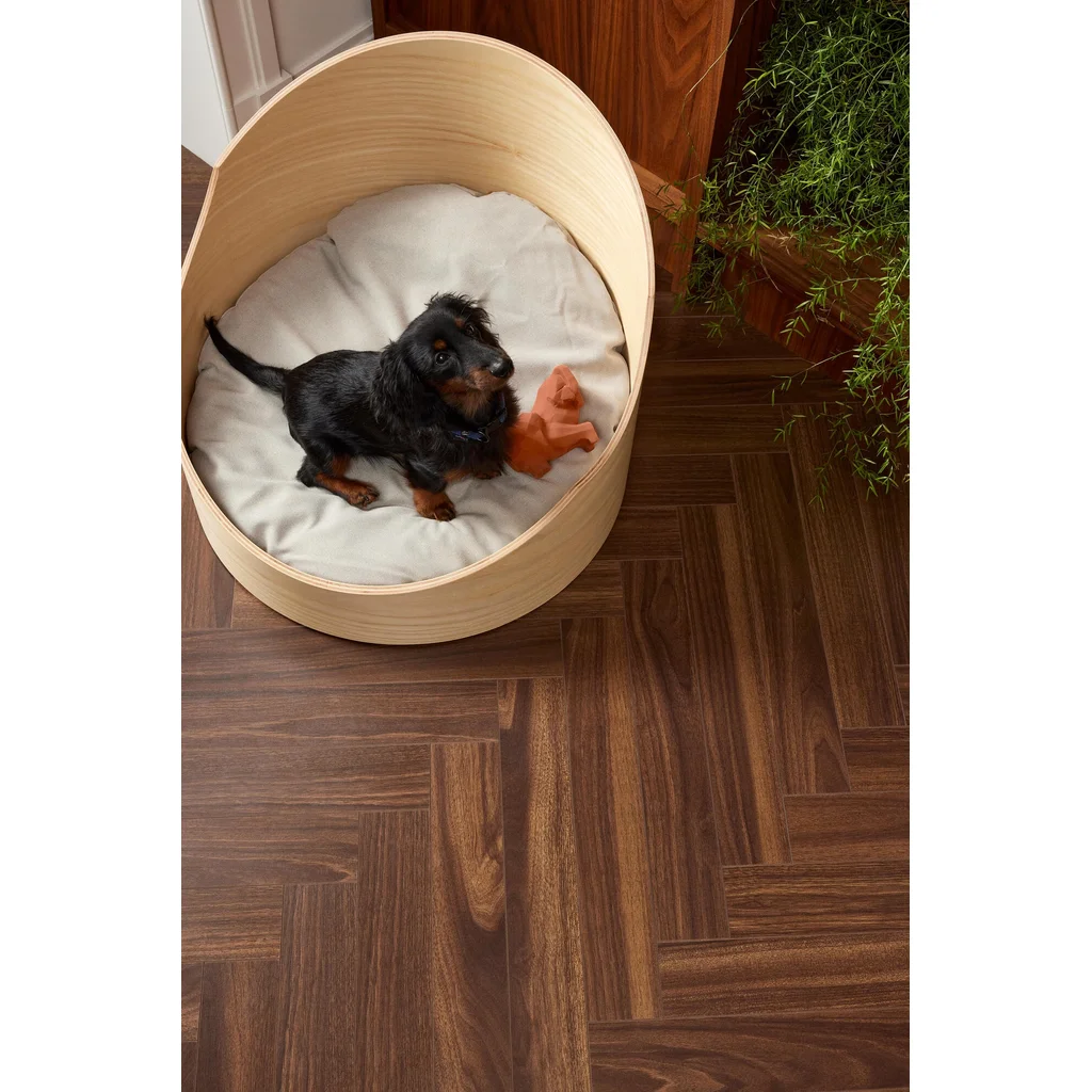 Panele podłogowe Jodełka Wallnut Brown B B8111 AC5 8 mm, 62002731