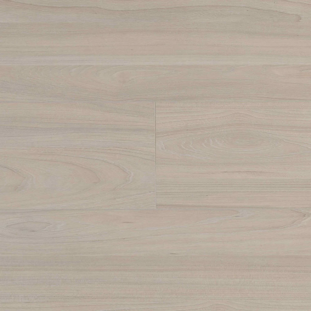 Panele podłogowe Elm Light B7703 AC5 8 mm, 62003064