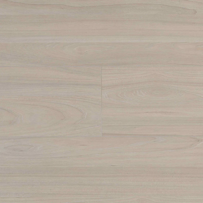 Panele podłogowe Elm Light B7703 AC5 8 mm, 62003064 - 2