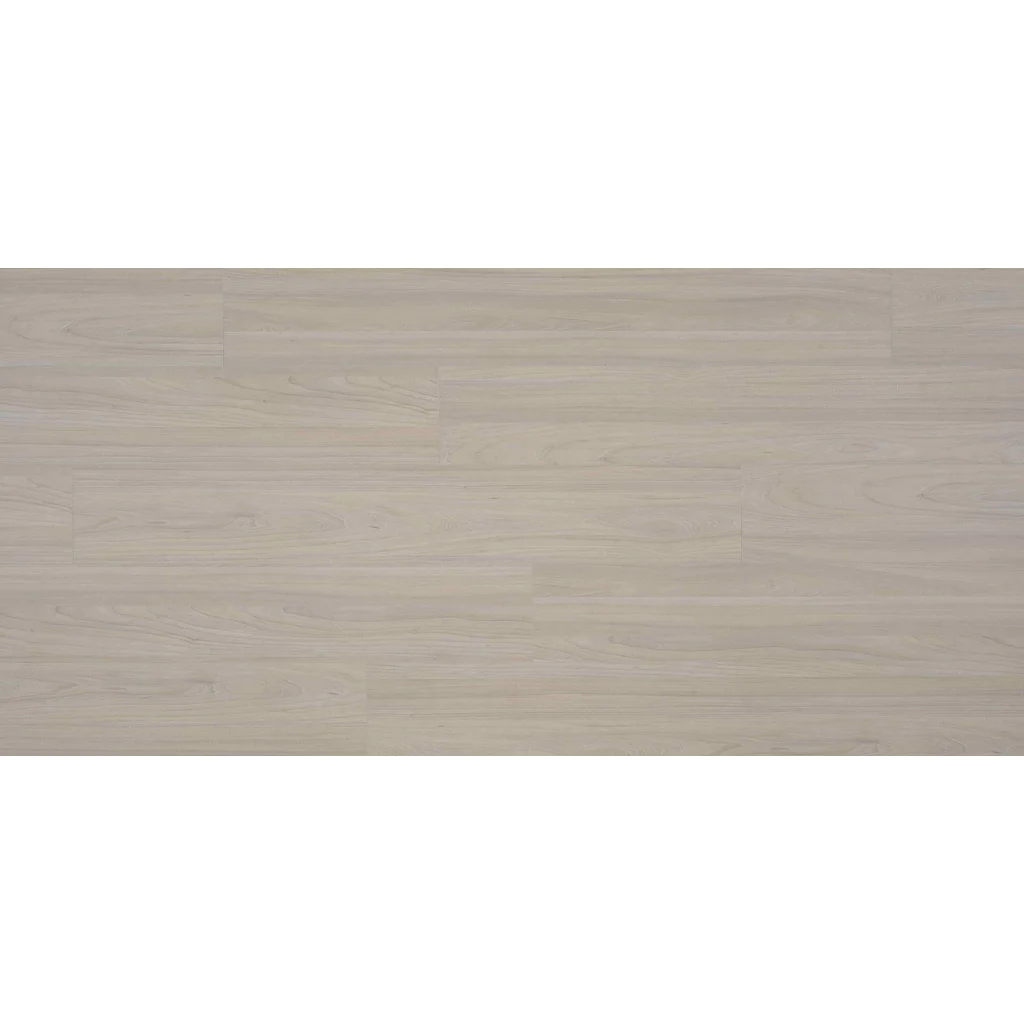 Panele podłogowe Elm Light B7703 AC5 8 mm, 62003064