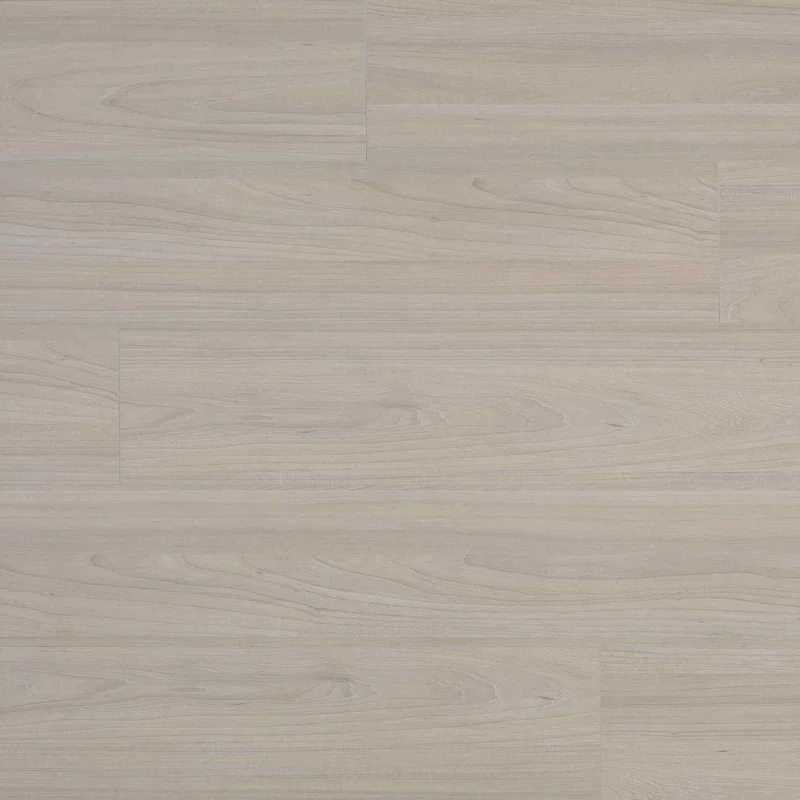 Panele podłogowe Elm Light B7703 AC5 8 mm, 62003064 - 4